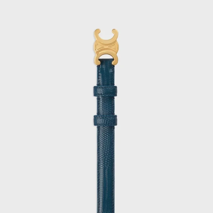 Triomphe-riem 18 mm in hagedis