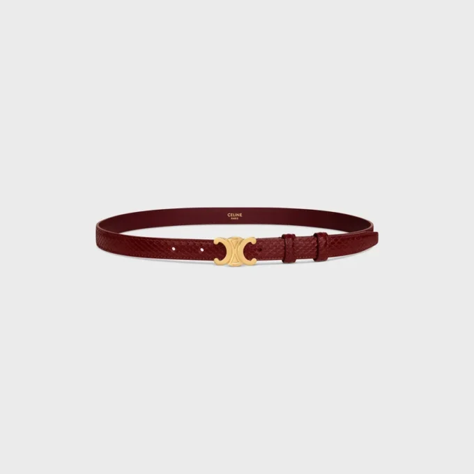 Triomphe-riem 18 mm in python