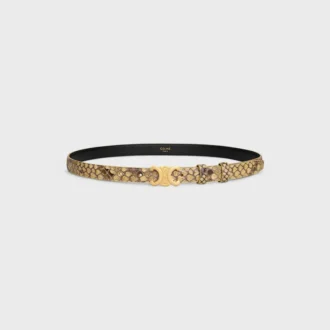 Triomphe-riem 18 mm in python