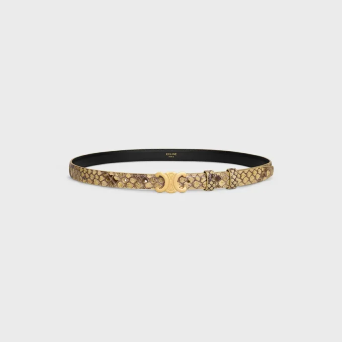 Triomphe-riem 18 mm in python