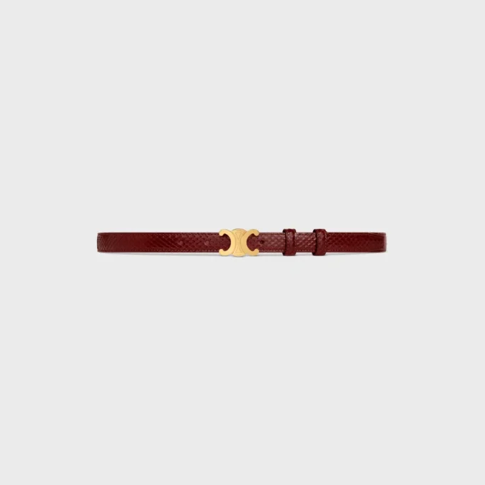 Triomphe-riem 18 mm in python