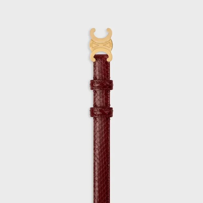 Triomphe-riem 18 mm in python