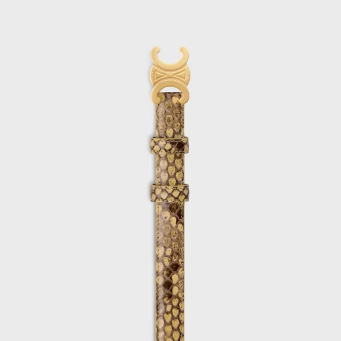 Triomphe-riem 18 mm in python