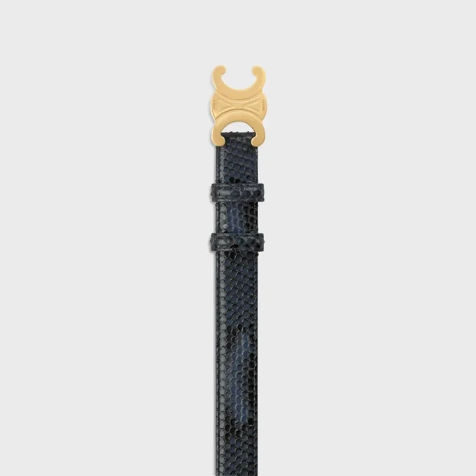 Triomphe-riem 25 mm in python